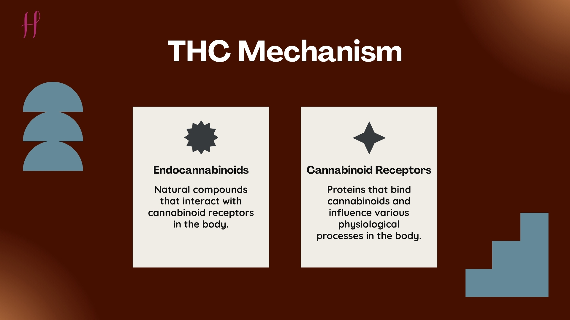 How Does THC Work in the Body?